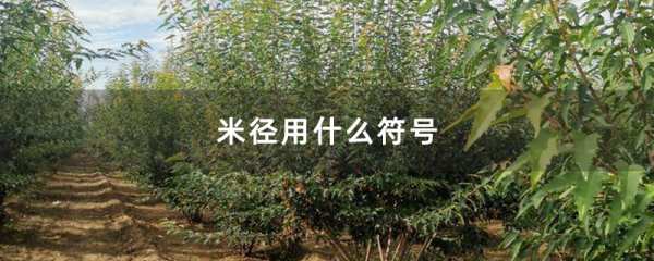 分享苗木米径用什么符号表示